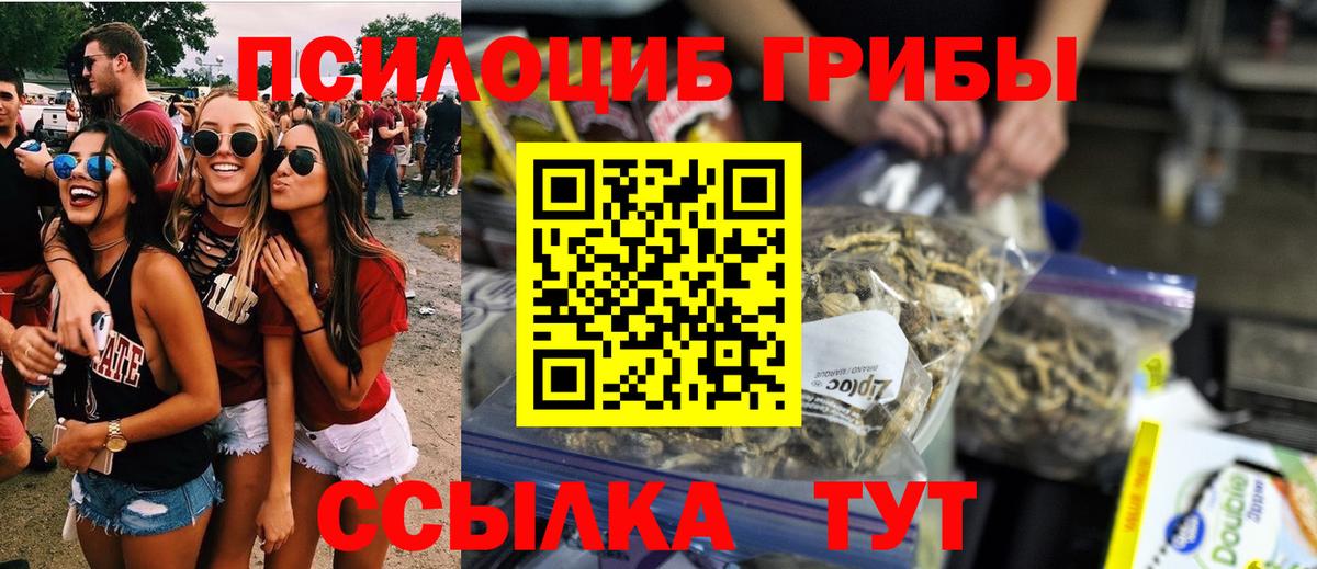 Псилоцибиновые грибы Psilocybine cubensis Амурск