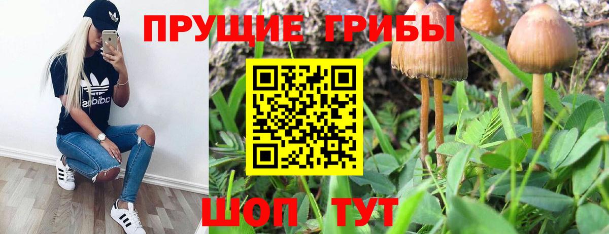 Псилоцибиновые грибы мицелий  цены наркотик  Галлюциногенные грибы MAGIC MUSHROOMS  Амурск  Вход с VPN 